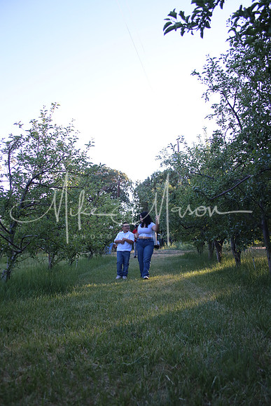 IMG_0346 (3)
