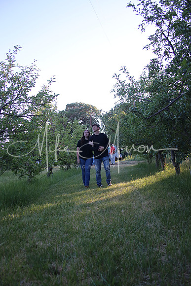 IMG_0317 (2)