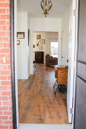 20241015-IMG_3754