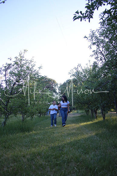 IMG_0347 (2)