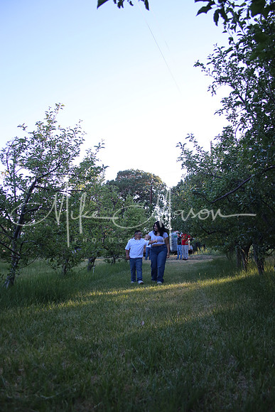 IMG_0333 (2)